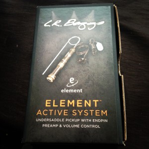 L.R. Baggs Element