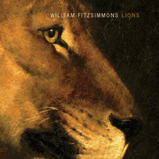 album-lions-full