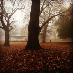 St. Stephens green autumn